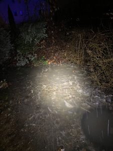 Einsatz_003_03.02.2023