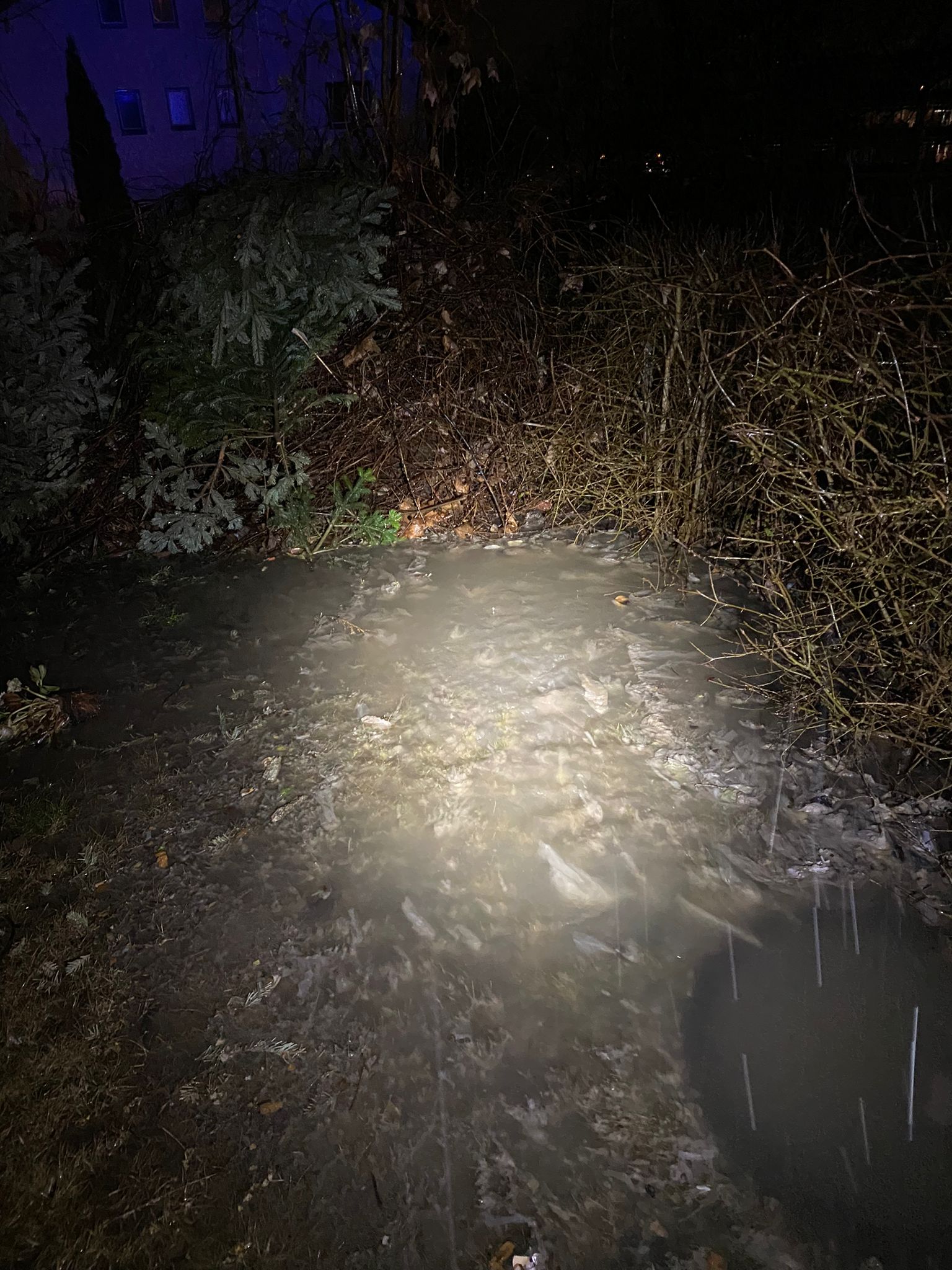 Einsatz_003_03.02.2023