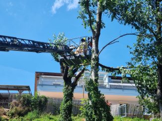 Juli 12 Aufräumarbeiten nach dem Unwettereinsatz am 12.07.2023 05
