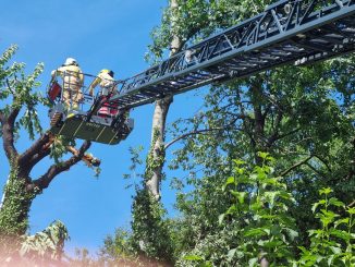 Juli 12 Aufräumarbeiten nach dem Unwettereinsatz am 12.07.2023 06