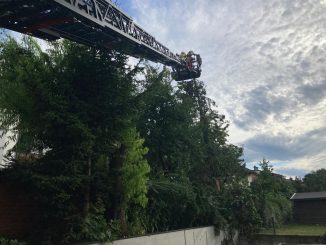 Juli 12 Aufräumarbeiten nach dem Unwettereinsatz am 12.07.2023 07