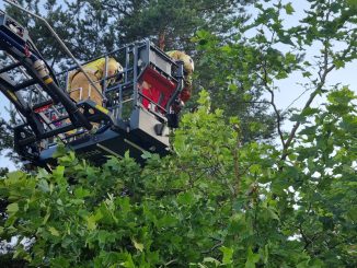 Juli 21 Aufräumarbeiten nach Unwetter am 18.07.2023 02