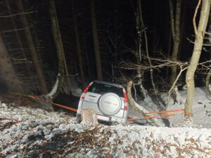 IMG_20241123_192534