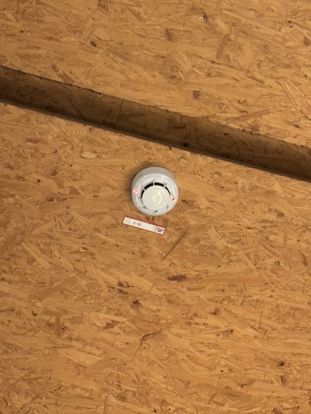 20241208_052852019_iOS
