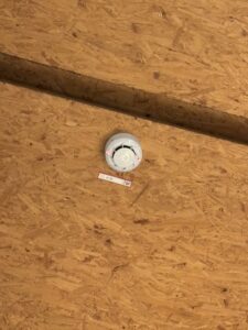 20241208_052852019_iOS