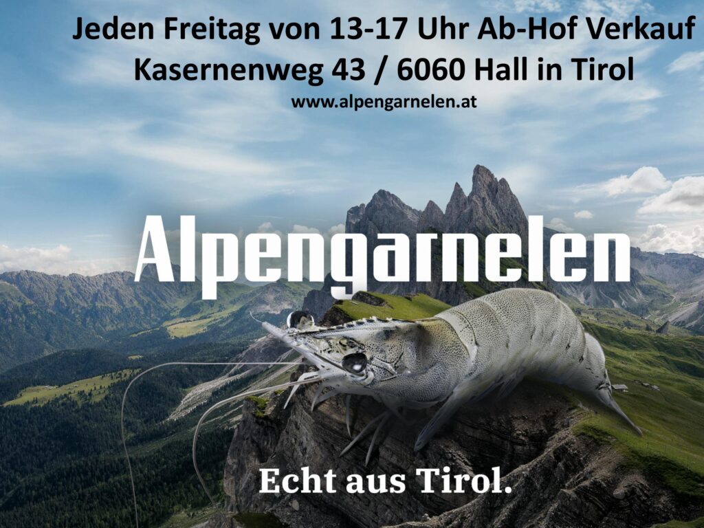Alpengarnelen Logo